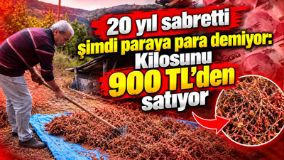 20 yıl sabretti şimdi paraya para demiyor: Kilosunu 900 TL'den satıyor