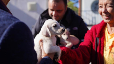 Minik öğrencilerden can dostlara anlamlı ziyaret