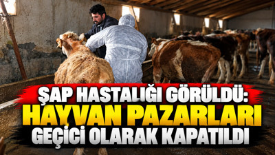 Şap alarmı verildi: Hayvan pazarları geçici olarak kapatıldı