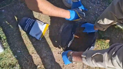 Uyuşturucuya akılalmaz zula: Güvercin kümesinden 392 gram çıktı