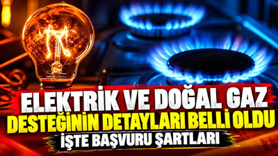 Elektrik ve doğal gaz desteğinin detayları belli oldu: İşte başvuru şartları