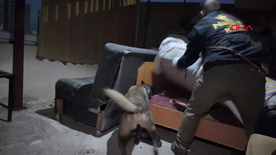 Hassas burunlar devrede: Mersin'de uyuşturucu şebekesine darbe vuruldu