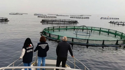 Karadeniz'in lezzet kalesi mercek altında: 28 milyon euroluk üretime sıkı takip