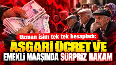 SGK uzmanı İsa Karakaş asgari ücret ve emekli maaşında net rakam verdi