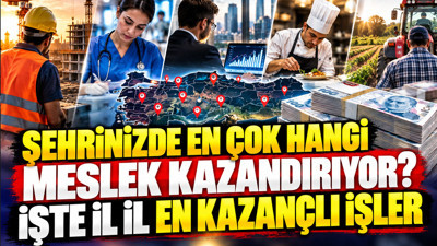 Şehrinizde en çok hangi meslek kazandırıyor? İşte il il en kazançlı işler