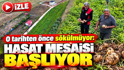 Türkiye'nin en son patates hasadı başlıyor: Rekor rekolte bekleniyor