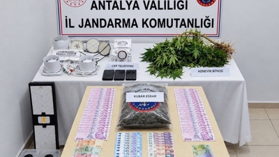 Evini uyuşturucu serasına çevirdi: Jandarma baskınında ortaya çıktı