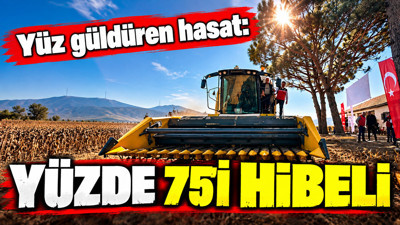 Yüzde 75 hibeli hasat bu yıl üreticisinin yüzünü güldürdü