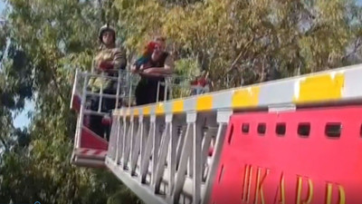 Firari papağan alarmı: İtfaiye ekipleri seferber oldu