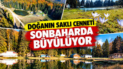 Sonbaharda büyüledi: Pürenli Yaylası renkli tonlarıyla mest etti