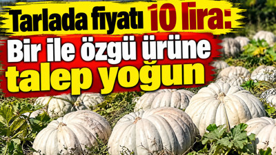 Tarlada fiyatı 10 lira: Bir ile özgü ürüne talep yoğun