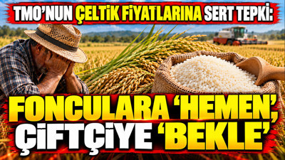 Mahmut Tanal'dan TMO'nun çeltik fiyatlarına sert tepki