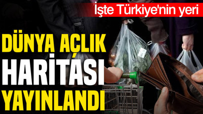 Dünya açlık haritası yayınlandı: Türkiye'nin yeri netleşti