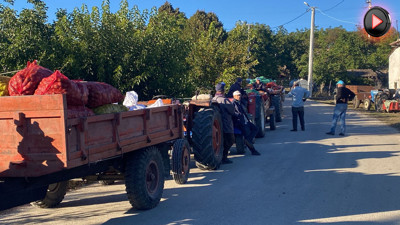 Sabahın ilk ışıklarında emek kuyruğu: Kilosu 40 TL: Her akşam 4 TIR yola çıkıyor