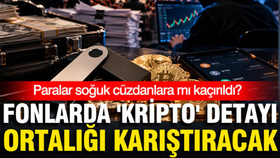 Aytunç Erkin, fon krizindeki perde arkasını ve uzmanların kritik sorularını yazdı
