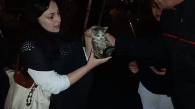 Gümüşhane'de Harşit Çayı kenarında mahsur kalan yavru kedi itfaiye ekiplerince kurtarıldı