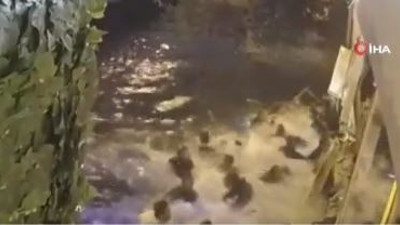 Bebek'te restaurant'ın iskelesi çöktü