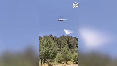 Hatay'daki orman yangını kontrol altına alındı (13 Ağustos 2023)