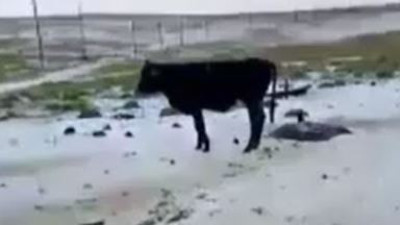 Eylül ayında dolu yağdı