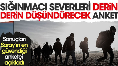 Sığınmacı severleri derin derin düşündürecek anket