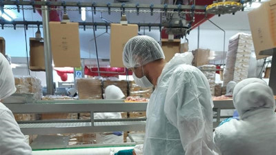 Ayda 25 milyon beyaz et kesilen fabrika böyle denetlendi