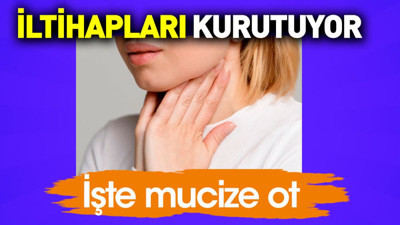 İltihapları kurutuyor. İşte mucize ot