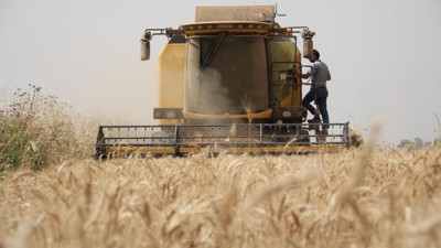 Bakanlık açıkladı. Çiftçilerin hesaplarına bugün yatırılıyor