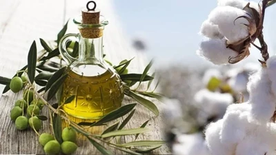 Ucuza satılan zeytinyağında pamuk yağı riski
