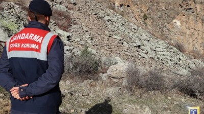 Jandarma'nın paylaştığı fotoğraf gündem oldu: Siz de görüyor musunuz?
