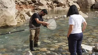 Balıkçıları üzecek rapor