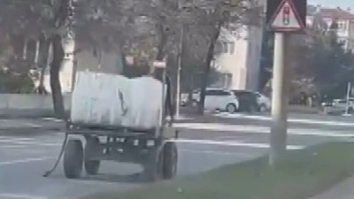 Edirne'de ilginç olay: Başıboş at trafikte terör estirdi