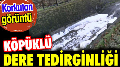 Köpüklü dere tedirginliği. Korkutan görüntü