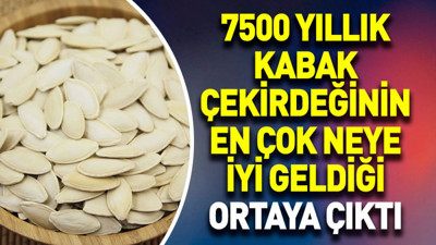 7500 yıllık Kabak çekirdeğinin en çok neye iyi geldiği ortaya çıktı