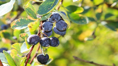 Mucize bir şifa kaynağı: Kadın Tuzluğu