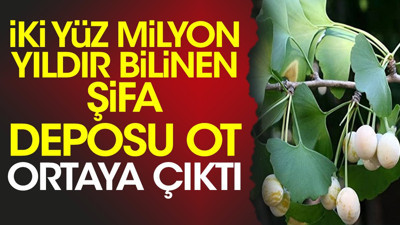 İki yüz milyon yıldır bilinen şifa deposu ot ortaya çıktı