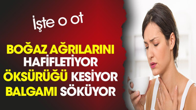 Boğaz ağrılarını hafifletiyor. Öksürüğü kesiyor. Balgamı söküyor. İşte o ot