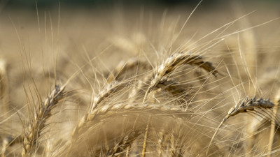 Doruk Un yeni yatırımlarla büyümesini sürdürecek