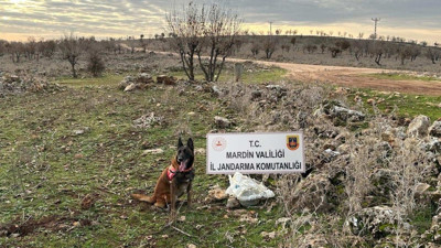 Mardin’de yola tuzaklanmış EYP imha edildi