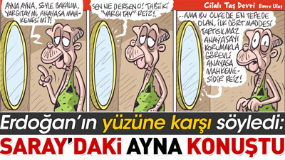Erdoğan'ın yüzüne karşı söyledi. Saray'daki ayna konuştu. Emre Ulaş çizdi
