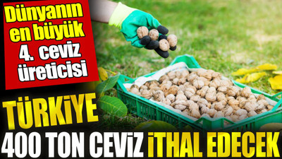 Dünyanın en büyük 4. ceviz üreticisi Türkiye 400 ton ceviz ithal edecek
