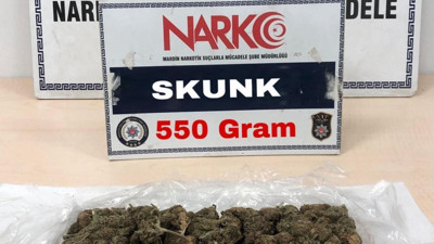 Mardin'de uyuşturucu operasyonu: 2 gözaltı