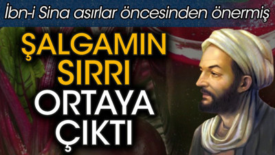 Şalgamın sırrı ortaya çıktı. İbn-i Sina asırlar öncesinden önermiş