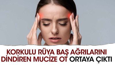Korkulu rüya baş ağrılarını dindiren mucize ot ortaya çıktı