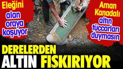 Dereden altın fışkırıyor. Eleğini alan oraya koştu. Aman Kanadalı altın tüccarları duymasın