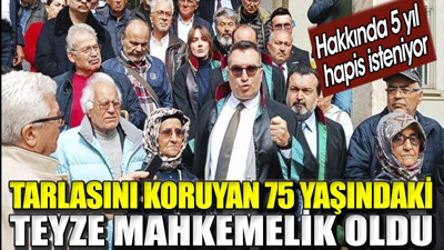 Tarlasını koruyan 75 yaşındaki teyze mahkemelik oldu. Hakkında 5 yıl hapis cezası istendi
