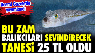 Bu zam balıkçıları sevindirecek. Tanesi 25 lira oldu. Resmi Gazete'de yayımlandı