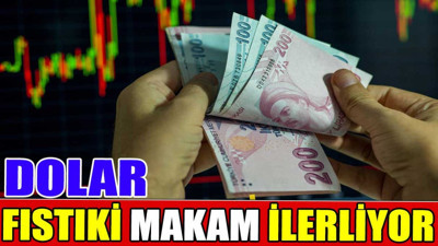 Dolar fıstıki makam ilerliyor