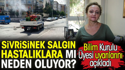 Sivrisinek salgın hastalıklara mı neden oluyor? Bilim Kurulu Üyesi uyarılarını açıkladı