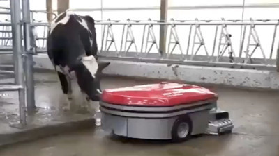 Robotlar geleceğin tarım ve hayvancılığı için bir çözüm mü?