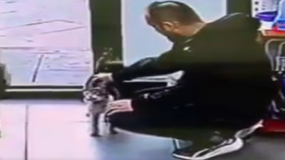 Veterinerin önüne giden sokak kedisinde tümör çıktı